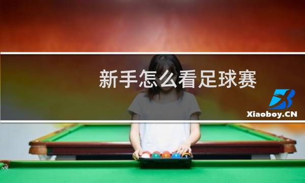 新手怎么看足球赛图片