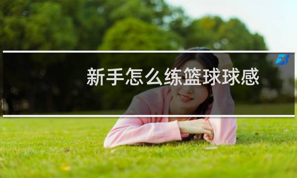 新手怎么练篮球球感图片