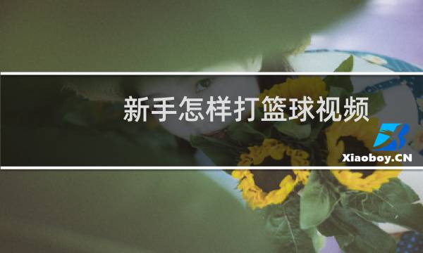 新手怎样打篮球视频图片