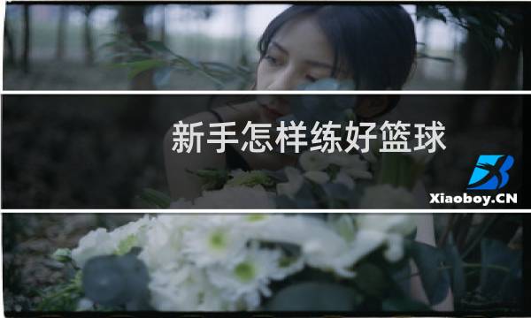 新手怎样练好篮球图片
