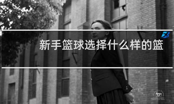 新手篮球选择什么样的篮球图片