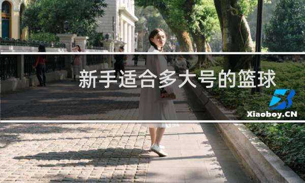 新手适合多大号的篮球图片