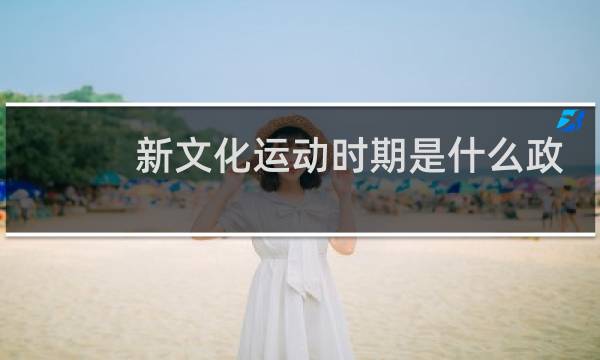 新文化运动时期是什么政府图片