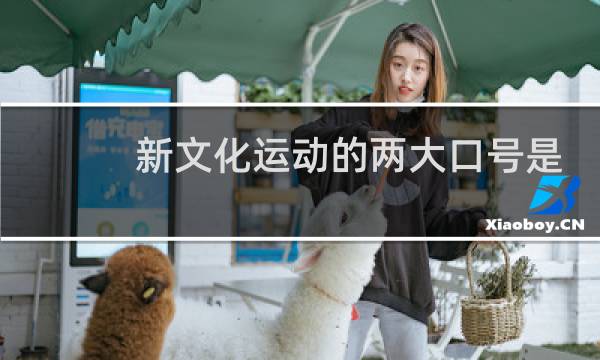 新文化运动的两大口号是什么与什么图片