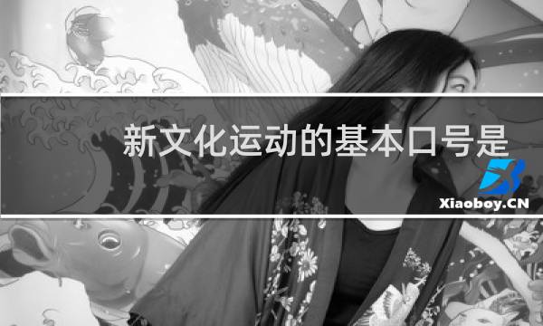 新文化运动的基本口号是什么其具体含义是什么图片