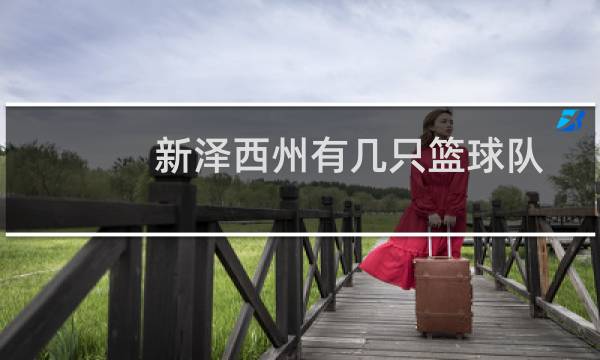 新泽西州有几只篮球队图片