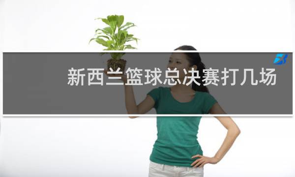 新西兰篮球总决赛打几场图片