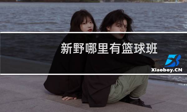 新野哪里有篮球班图片