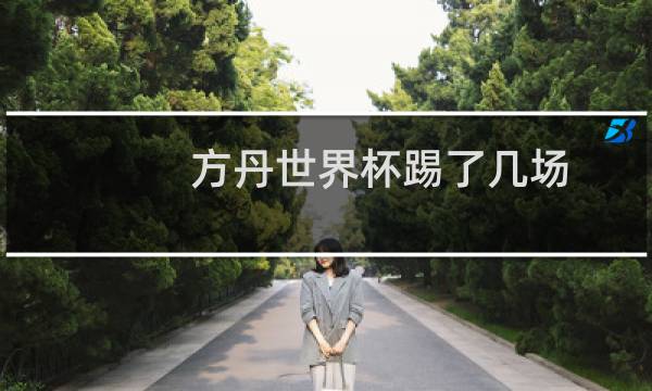 方丹世界杯踢了几场图片