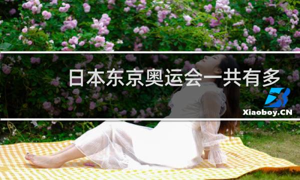 日本东京奥运会一共有多少国家参加图片