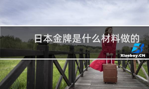 日本金牌是什么材料做的图片