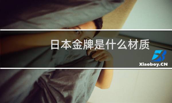 日本金牌是什么材质图片