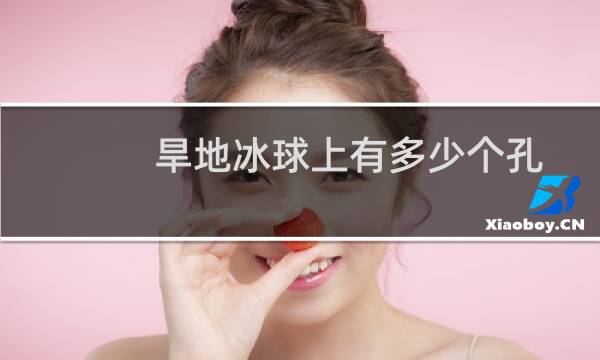 旱地冰球上有多少个孔图片