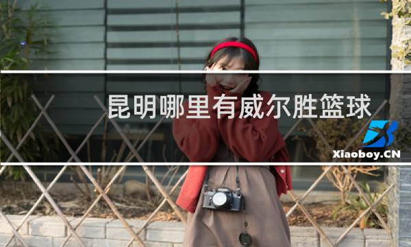 昆明哪里有威尔胜篮球图片