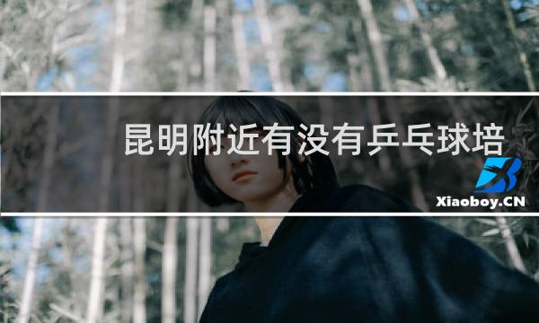 昆明附近有没有乒乓球培训班图片