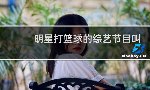 明星打篮球的综艺节目叫什么李晨图片