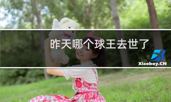 昨天哪个球王去世了图片