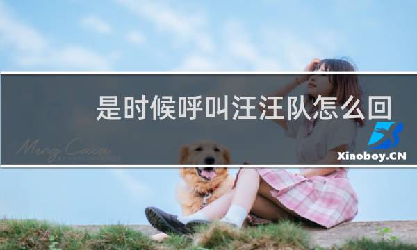 是时候呼叫汪汪队怎么回图片