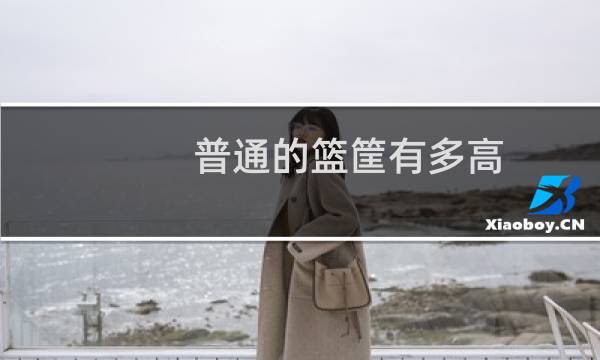 普通的篮筐有多高图片