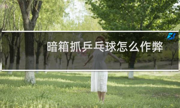 暗箱抓乒乓球怎么作弊图片