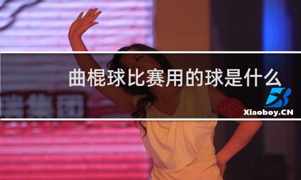 曲棍球比赛用的球是什么球图片