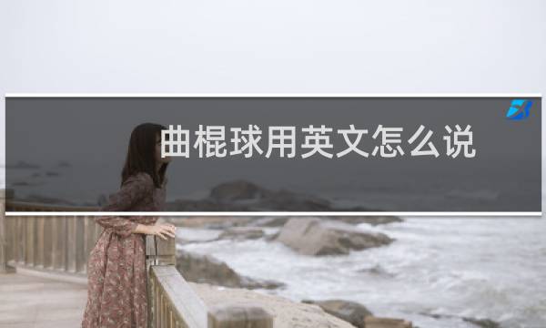 曲棍球用英文怎么说图片