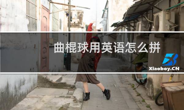曲棍球用英语怎么拼图片