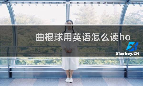 曲棍球用英语怎么读hockey图片