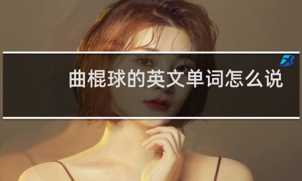 曲棍球的英文单词怎么说图片