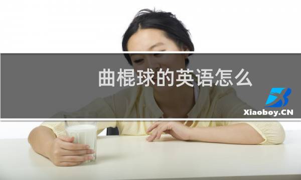 曲棍球的英语怎么图片