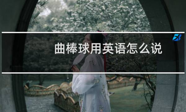曲棒球用英语怎么说图片