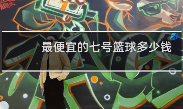 最便宜的七号篮球多少钱图片