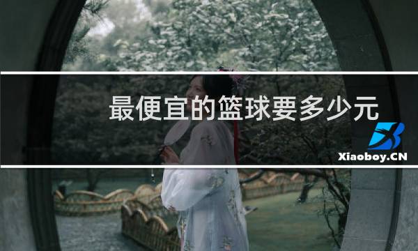 最便宜的篮球要多少元图片