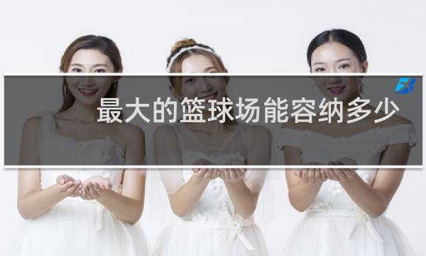 最大的篮球场能容纳多少人图片