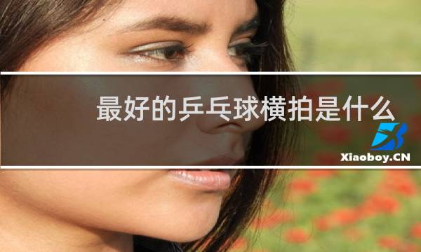 最好的乒乓球横拍是什么牌子图片