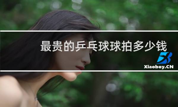 最贵的乒乓球球拍多少钱图片