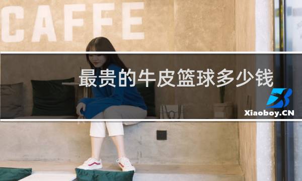 最贵的牛皮篮球多少钱图片