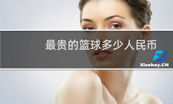 最贵的篮球多少人民币图片