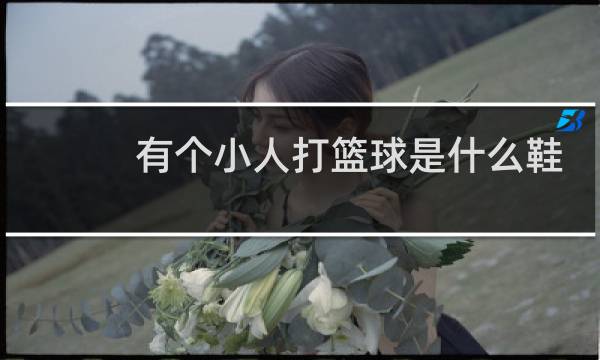有个小人打篮球是什么鞋图片