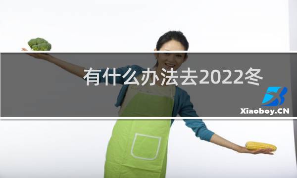 有什么办法去2022冬奥会图片