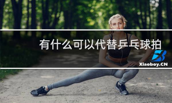 有什么可以代替乒乓球拍套的图片