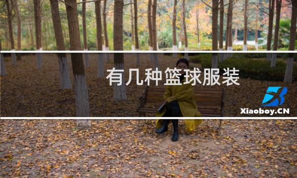 有几种篮球服装图片