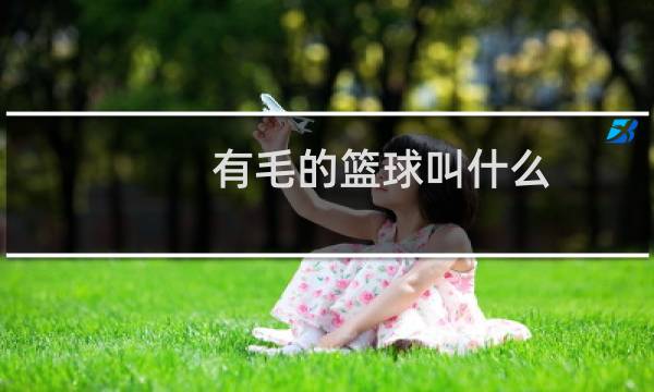 有毛的篮球叫什么图片