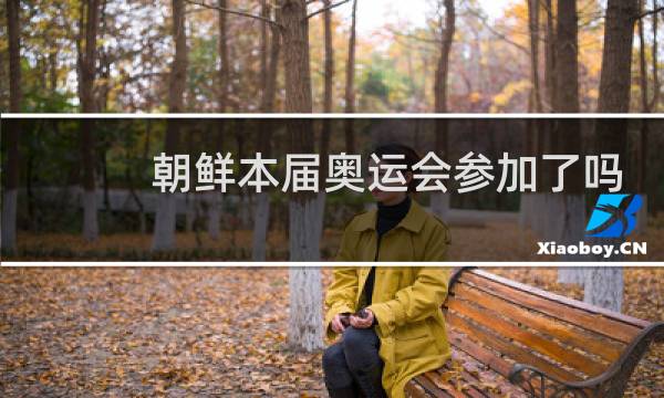 朝鲜本届奥运会参加了吗图片