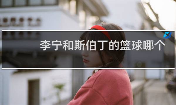 李宁和斯伯丁的篮球哪个好图片