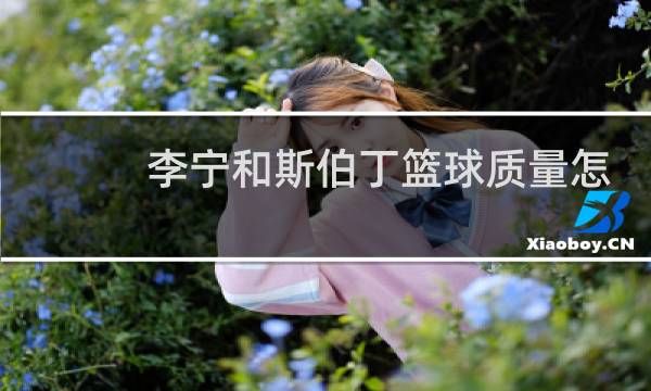 李宁和斯伯丁篮球质量怎么样图片