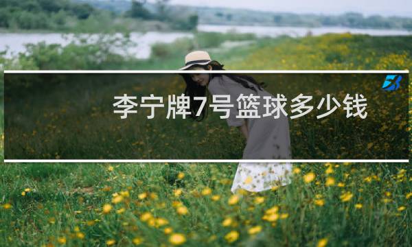 李宁牌7号篮球多少钱图片