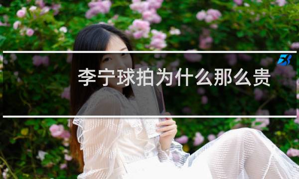 李宁球拍为什么那么贵图片