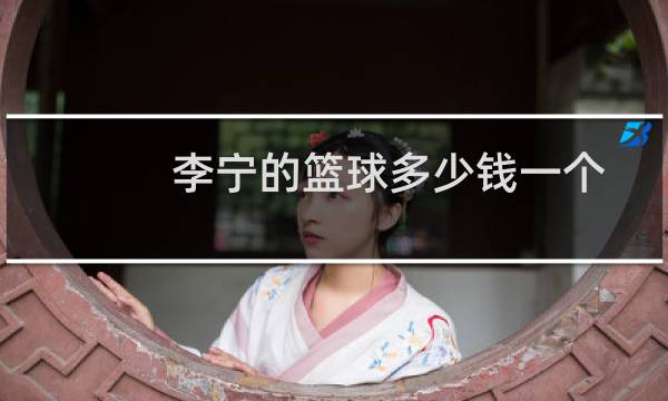 李宁的篮球多少钱一个图片