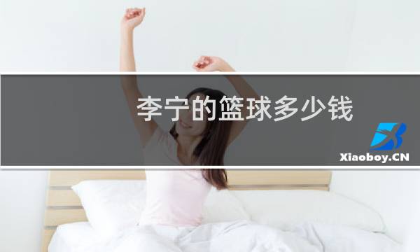 李宁的篮球多少钱图片